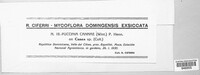 Puccinia cannae image